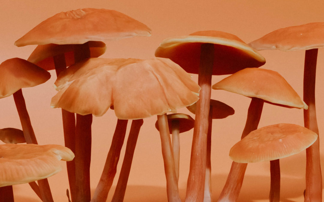 Medical Science is integrating the use of psychedelics and ‘party’ drugs into psychotherapy – we explore what this means