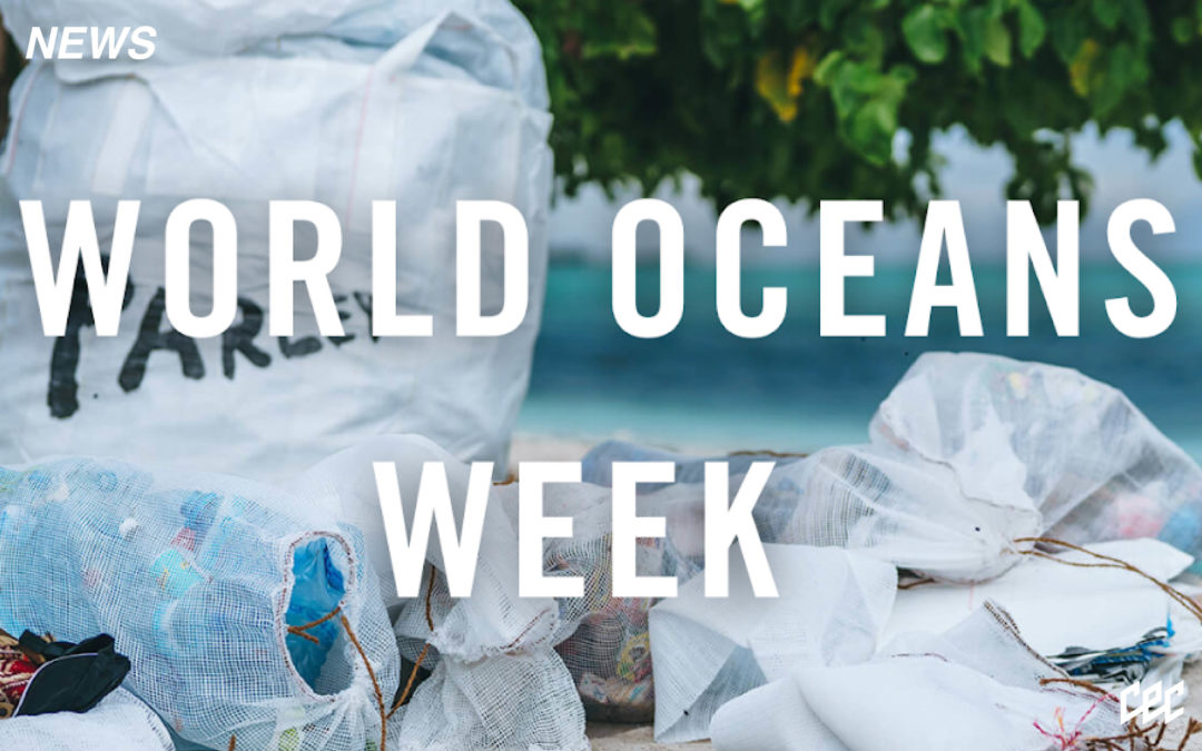 Join Jack Black & Sentinel Ocean Alliance For The World Oceans Day Clean Up