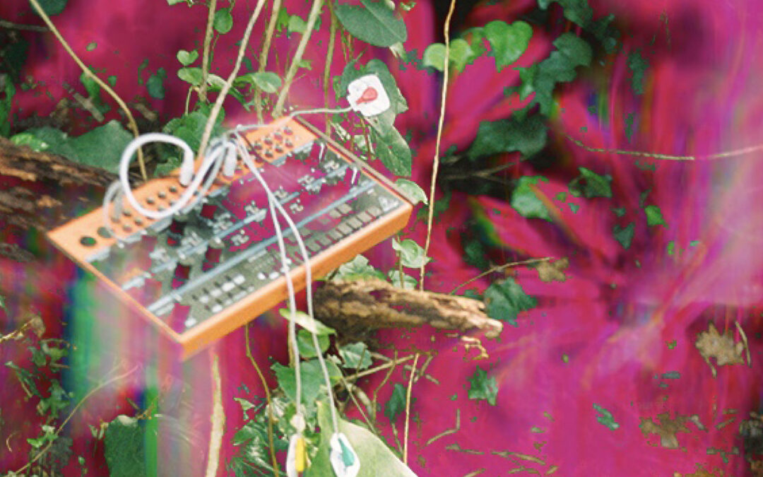 Plant bio-synthesiser and sound designer, ‘botanicas’ and his Sonic Capacity For Healing