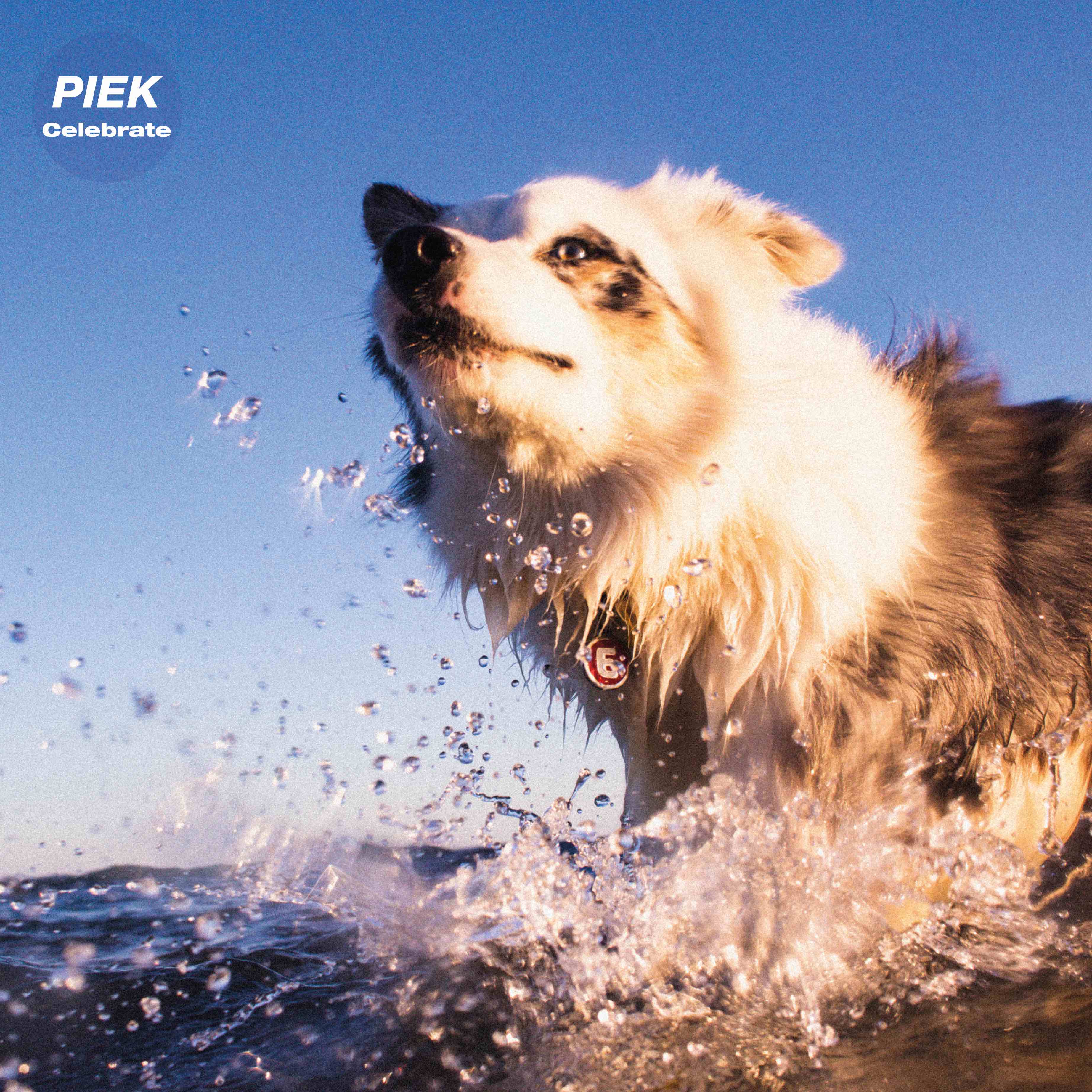 PIEK_-_Celebrate_