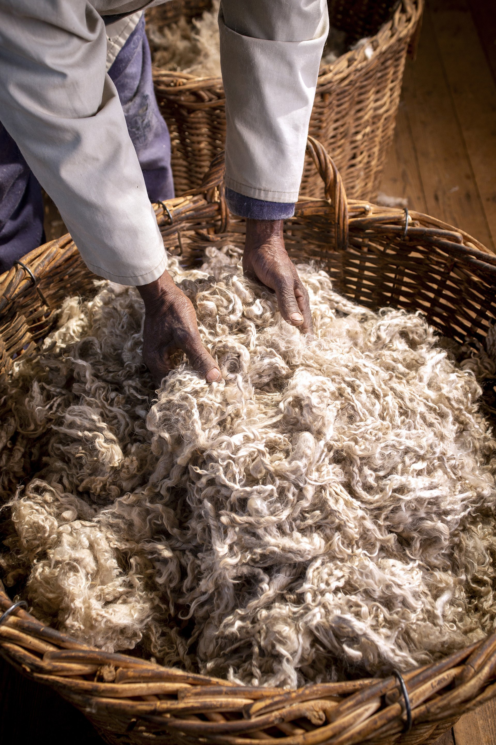 MSA-Mohair-Fibre00011