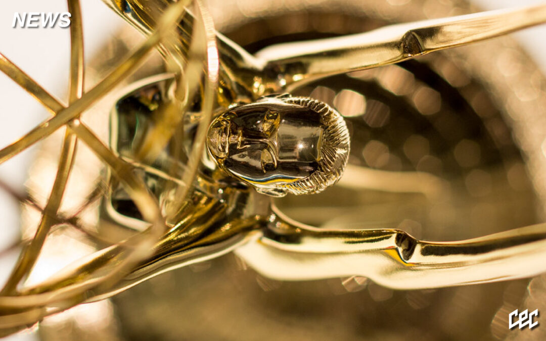 South Africa Makes History With a Record Five Emmy Nominations