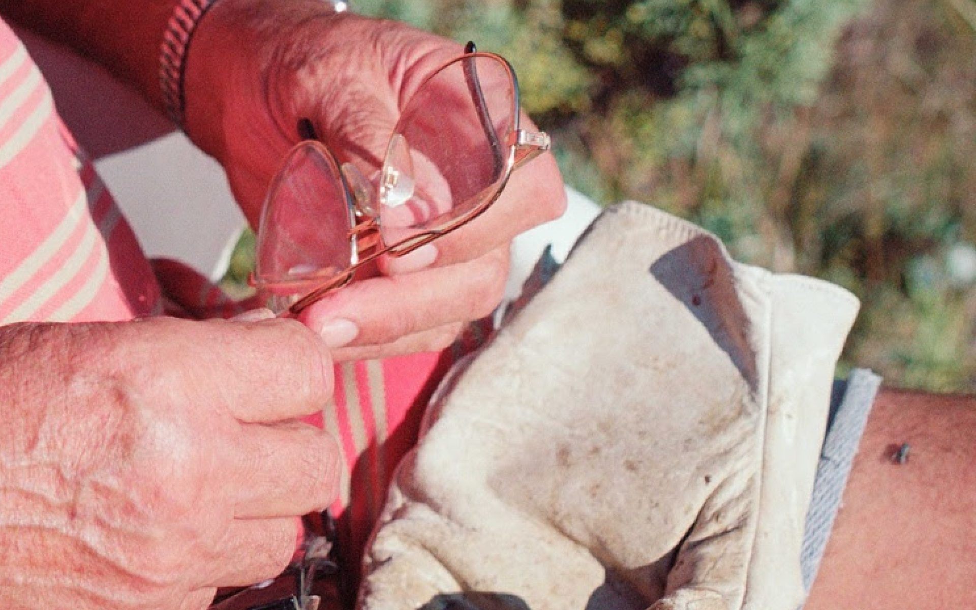 NMR_CEC Featured Image3