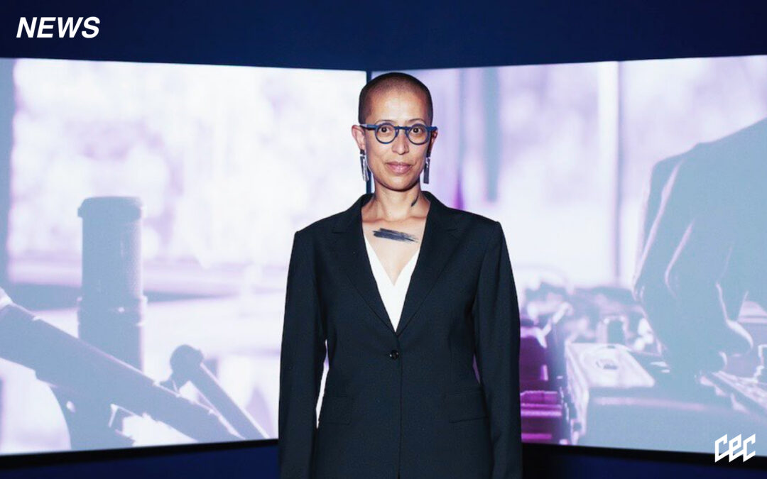 Minister McKenzie Investigated Following Intervention in Gabrielle Goliath’s Venice Biennale Removal