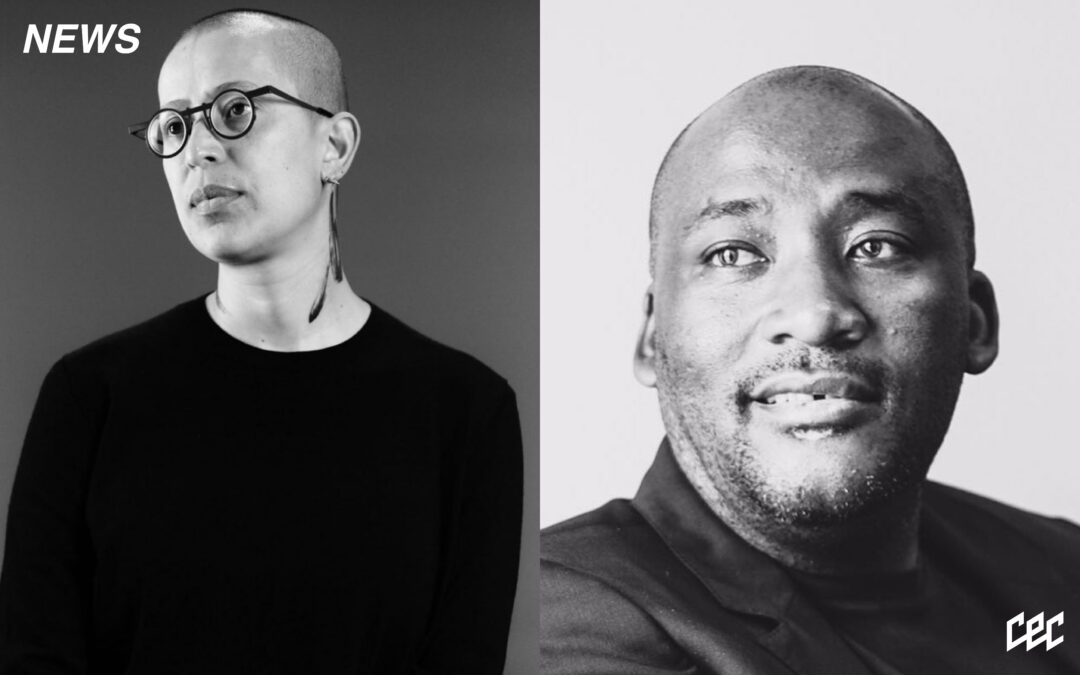 Gabrielle Goliath Takes Minister Gayton McKenzie to Court Over Venice Biennale Decision